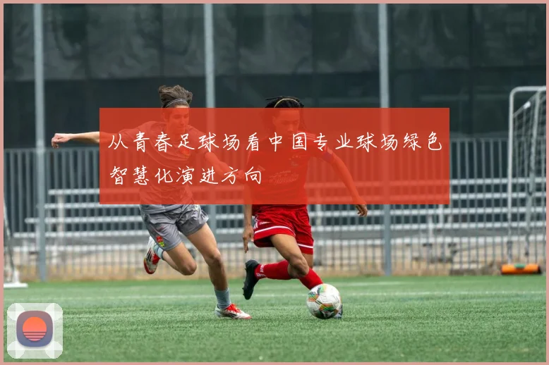 从青春足球场看中国专业球场绿色智慧化演进方向