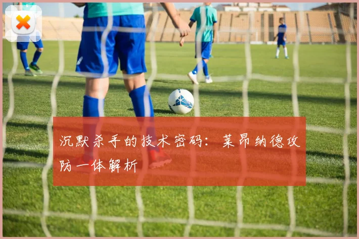 沉默杀手的技术密码：莱昂纳德攻防一体解析