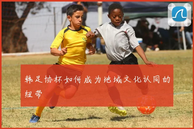 韩足协杯如何成为地域文化认同的纽带