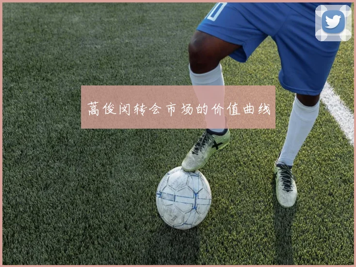 蒿俊闵转会市场的价值曲线