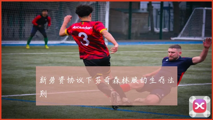 新劳资协议下芬奇森林狼的生存法则