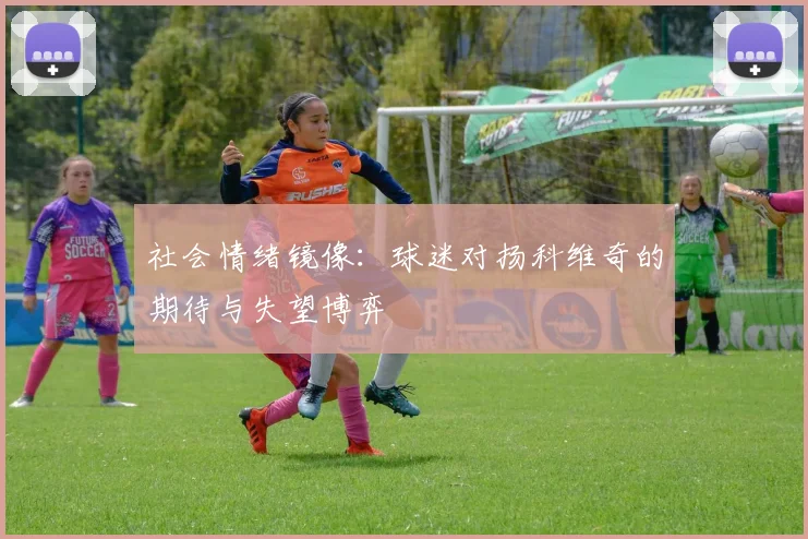 社会情绪镜像：球迷对扬科维奇的期待与失望博弈