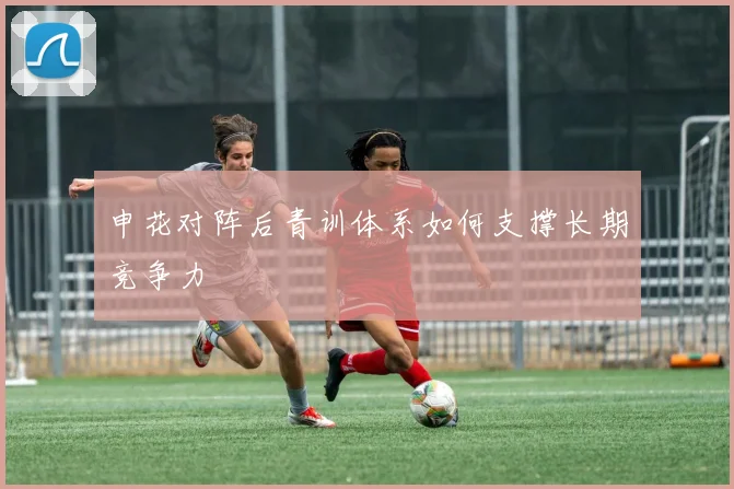 申花对阵后青训体系如何支撑长期竞争力